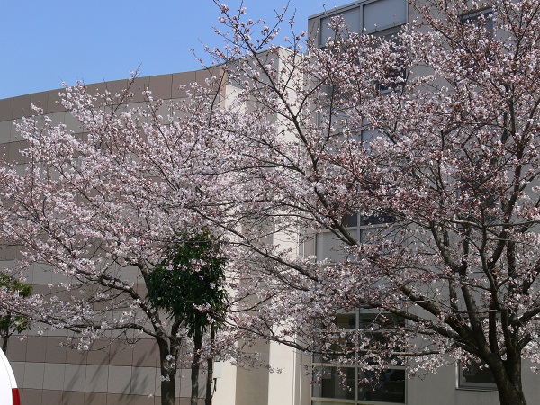20150331.JPG