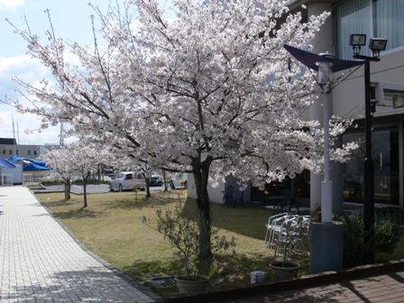 P1070083.JPG