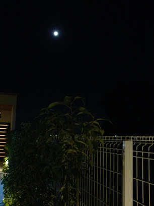 P1140493.JPG